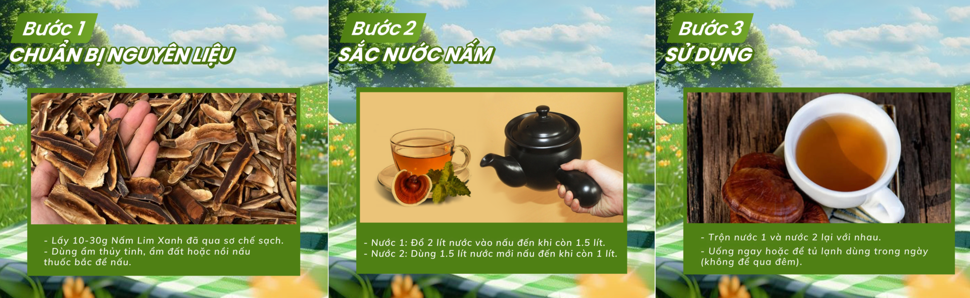 tác dụng của nấm lim xanh